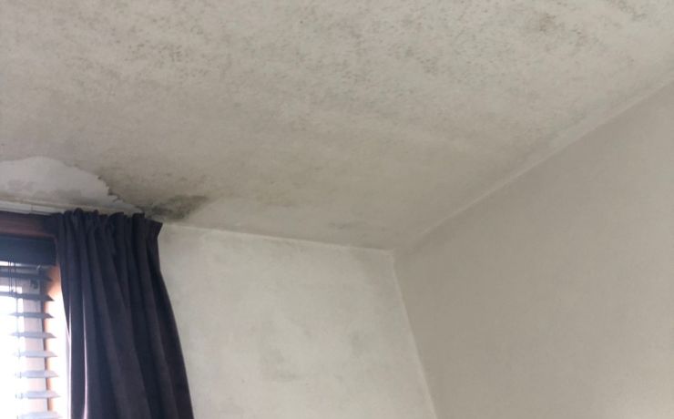 Vochtbehandeling plafond