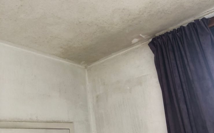 Schimmelverwijdering plafond