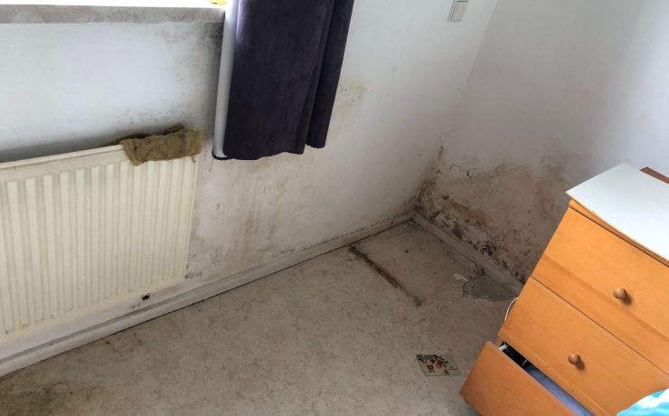 Schimmel slaapkamer