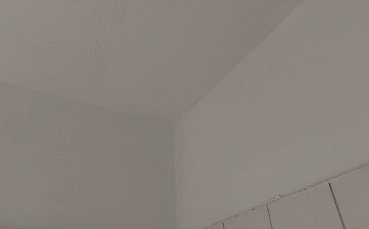 Afwerking en herstel schimmelverwijdering