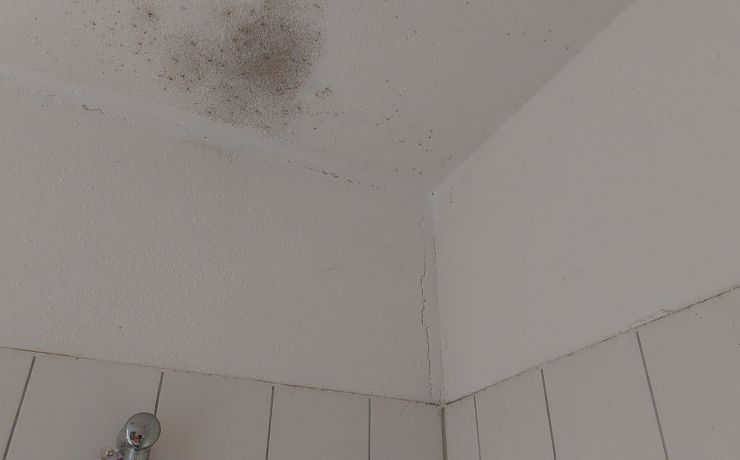 Schimmelverwijdering badkamer